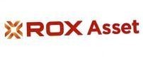 Nhãn hiệu VVVV ROX Asset  của CÔNG TY CỔ PHẦN TẬP ĐOÀN ROX, số đơn 4-2024-00847