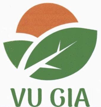 VU GIA 