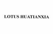 LOTUS HUATIANXIA 