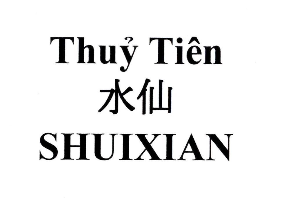 Thủy Tiên SHUIXIAN [Shuĩxiãn: hoa thuỷ tiên] 