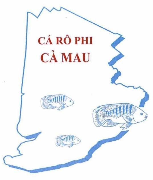 CÁ RÔ PHI CÀ MAU 