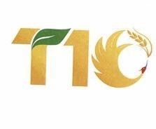 T10 