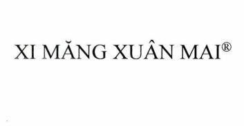 XI MĂNG XUÂN MAI 