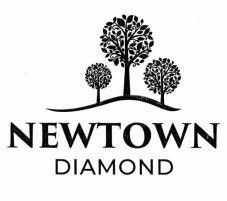 Nhãn hiệu NEWTOWN DIAMOND  của Tập đoàn BRG-công ty CP, số đơn 4-2024-19503