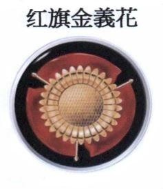 Nhãn hiệu [hóngqí jīn yì huā: hồng kỳ kim nghĩa hoa]  của Chu Thị Thu Hằng, số đơn 4-2024-29452