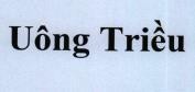Uông Triều 