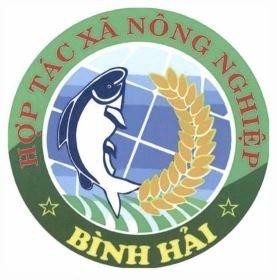 HỢP TÁC XÃ NÔNG NGHIỆP BÌNH HẢI 