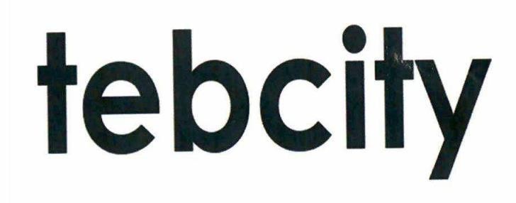 Dai Lijun的tebcity 品牌, 申请号 4-2024-52095