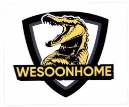 WESOONHOME 