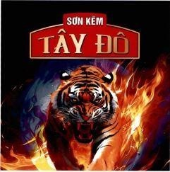 SƠN KẼM TÂY ĐÔ 