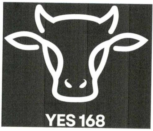 YES 168 