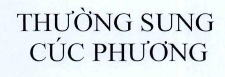 THƯỜNG SUNG CÚC PHƯƠNG 