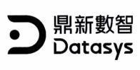 D Datasys [ding xin shu zhi: data system trí tuệ số] 