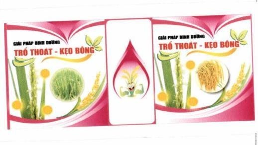 Nhãn hiệu GIẢI PHÁP DINH DƯỠNG TRỔ THOÁT KẸO BÔNG GIẢI PHÁP DINH DƯỠNG TRỔ THOÁT KẸO BÔNG  của CÔNG TY TNHH NÔNG NGHIỆP THAILAND, số đơn 4-2025-03065