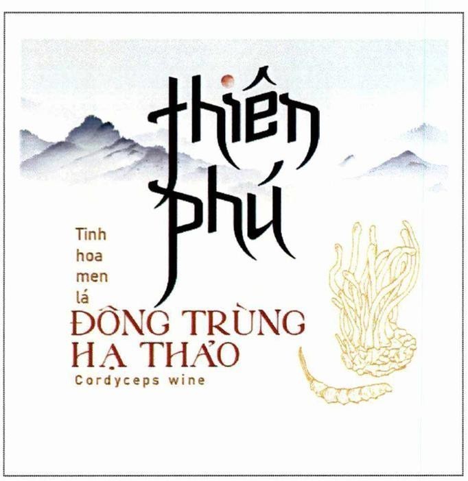 thiên phú Tinh hoa men lá ĐÔNG TRÙNG HẠ THẢO Cordyceps wine 
