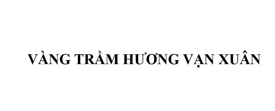 Nhãn hiệu VÀNG TRẦM HƯƠNG VẠN XUÂN  của CÔNG TY TNHH VẠN XUÂN, số đơn 4-2025-16777