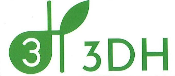 3 d h 3DH 