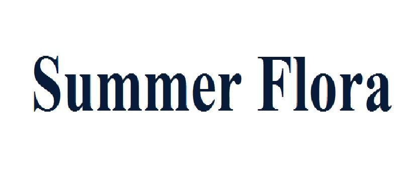 Summer Flora 
