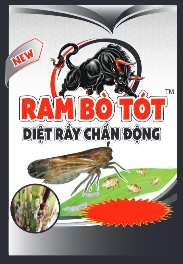 NEW RAM BÒ TÓT DIỆT RẦY CHẤN ĐỘNG 
