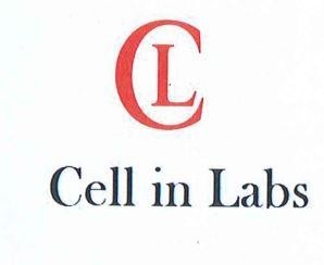 C L Cell in Labs 