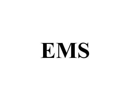 Nhãn hiệu EMS  của CÔNG TY TNHH BZT USA, số đơn 4-2025-44517