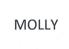 Nhãn hiệu MOLLY  của POP MART (SINGAPORE) HOLDING PTE. LTD., số đơn 4-2025-46583