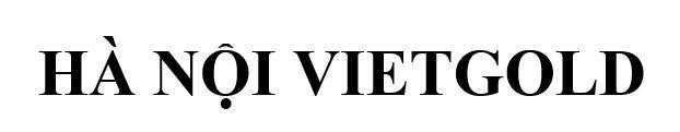 Trademark HÀ NỘI VIETGOLD  of Công ty cổ phần bia quốc tế Sài Gòn Hà Nội, application No 4-2025-56068
