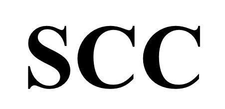 Dai Lijun的SCC 品牌, 申请号 4-2025-65403