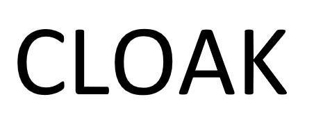 Sheltered Wings Inc. d/b/a Vortex Optics的CLOAK 品牌, 申请号 4-2025-66211