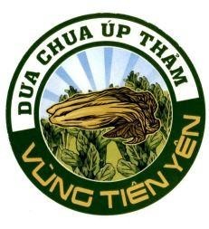DƯA CHUA ÚP THẢM VÙNG TIÊN YÊN - QUẢNG NINH 