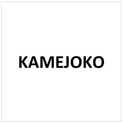 Nhãn hiệu KAMEJOKO  của CÔNG TY CỔ PHẦN THỊNH THẾ VINH HOA, số đơn 4-2026-00875