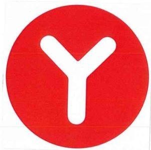 Y 