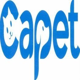 Phạm Thiên Khươngçš„Capet å“ç‰Œ, ç”³è¯·å· 4-2026-04409