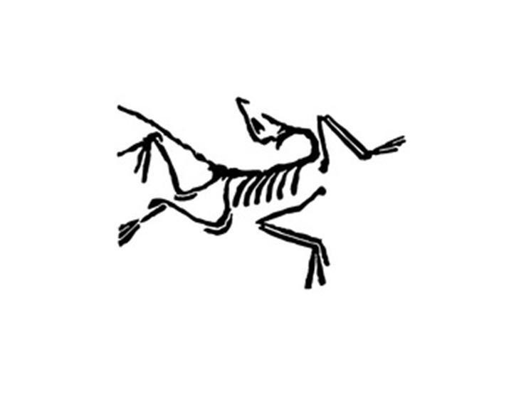 Amer Sports Canada Inc.çš„ å“ç‰Œ, ç”³è¯·å· 4-2026-04415