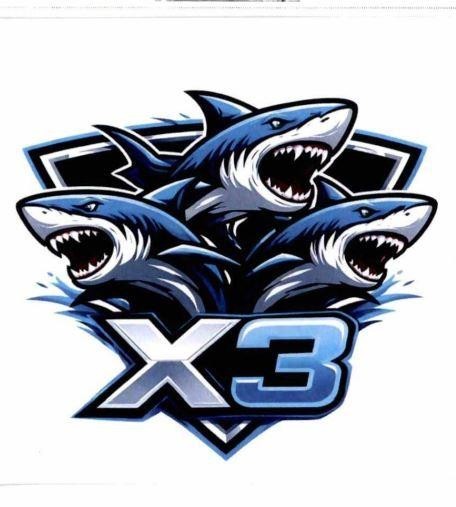 Trademark X3  of Công ty TNHH sản xuất thương mại đầu tư Con Cá Heo, application No 4-2026-05210