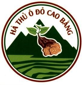SỞ KHOA HỌC VÀ CÔNG NGHỆ TỈNH CAO BẰNGçš„HÀ THỦ Ô ĐỎ CAO BẰNG å“ç‰Œ, ç”³è¯·å· 4-2026-07316