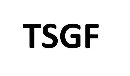Nhãn hiệu TSGF  của CÔNG TY TNHH CÔNG NGHỆ TAISHAN GYPSUM, số đơn 4-2026-09962