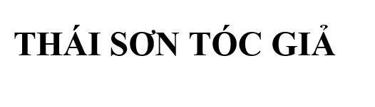 CÔNG TY TNHH VTT HAIR的THÁI SƠN TÓC GIẢ 品牌, 申请号 4-2026-11961