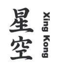 Nhãn hiệu Xing Kong [XING KONG]  của Handan Pharmaceutical Co., Ltd., số đơn 4-2026-13381