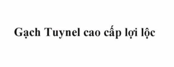 Công ty TNHH sản xuất gạch tuynel Bình Thành的Gạch Tuynel cao cấp lợi lộc 品牌, 申请号 4-2026-13621