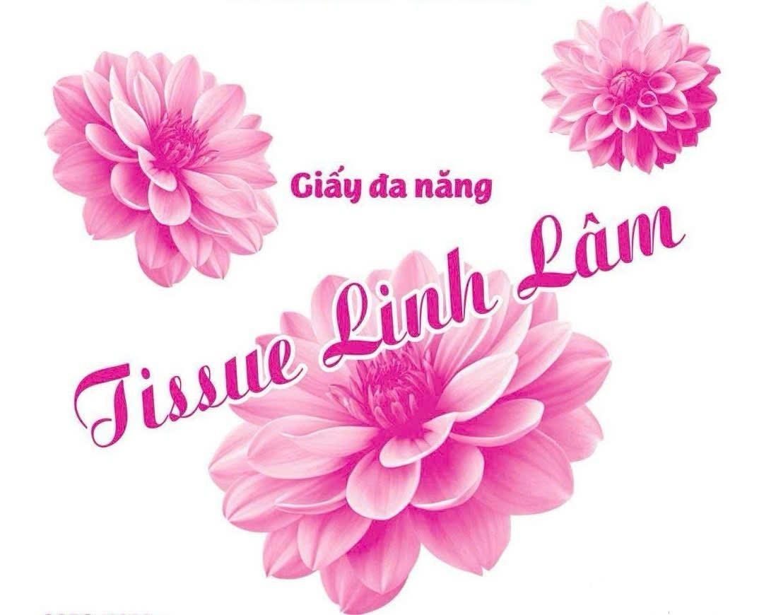 HỘ KINH DOANH LÊ VĂN KHANG的Tissue Linh Lâm 品牌, 申请号 4-2026-14496