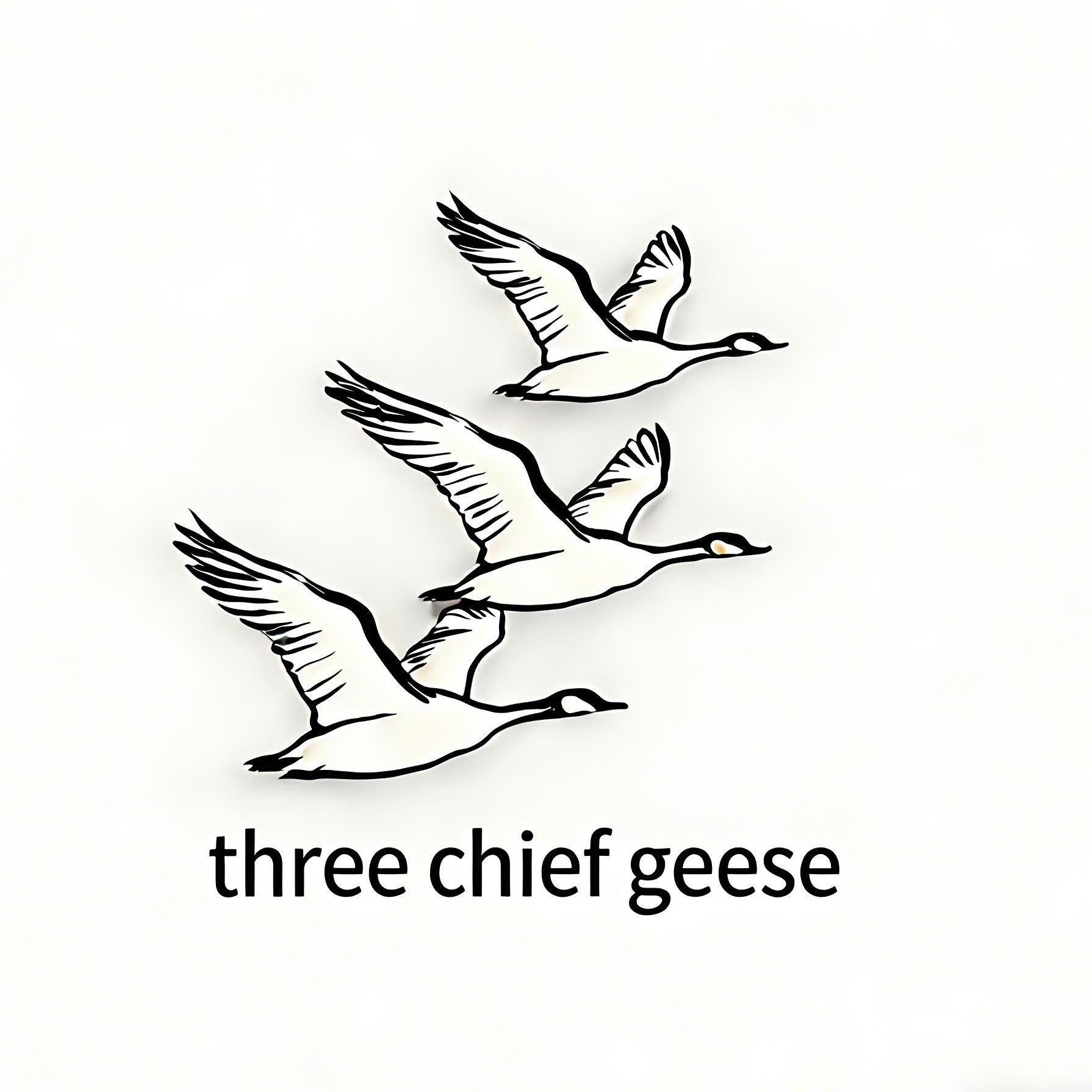 Nhãn hiệu three chief geese  của CHEN, ZHIQIANG, số đơn 4-2026-15496