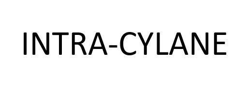 Nhãn hiệu INTRA-CYLANE  của L’OREAL, số đơn 4-2026-15733