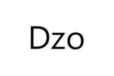 Dzo 