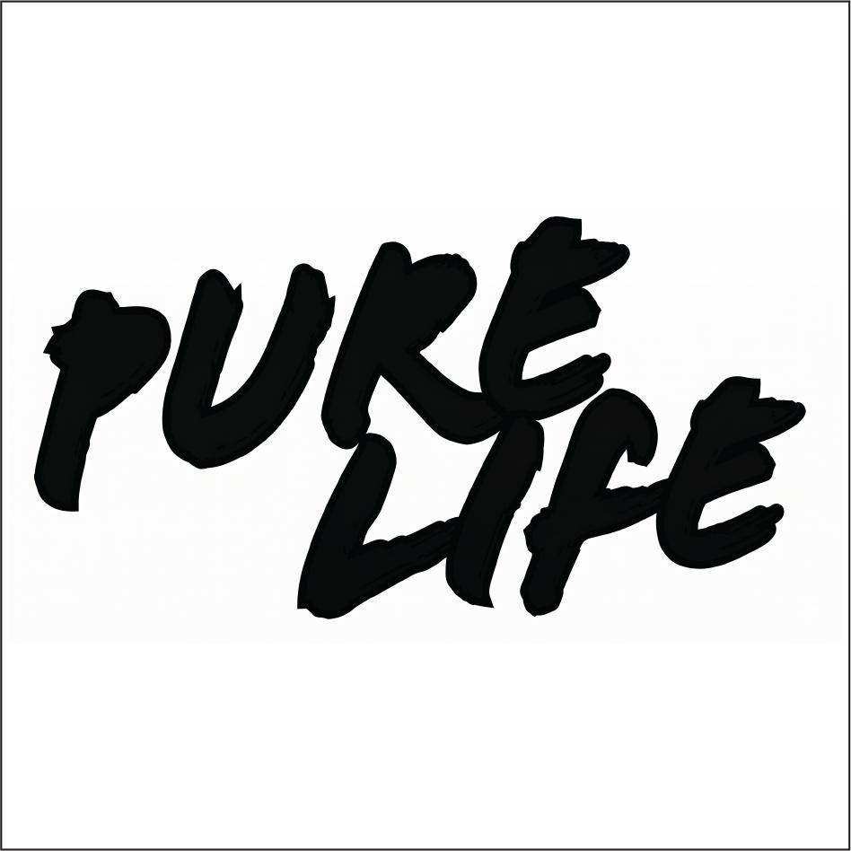 Nhãn hiệu PURE LIFE  của Công ty TNHH một thành viên Thuốc lá Bắc Sơn, số đơn 4-2026-22018