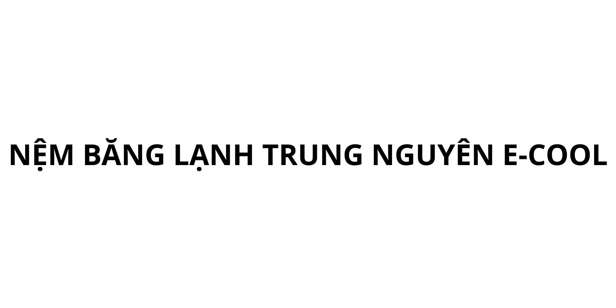 NỆM BĂNG LẠNH TRUNG NGUYÊN E-COOL 