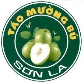 Nhãn hiệu TÁO MƯỜNG BÚ SƠN LA  của ỦY BAN NHÂN DÂN XÃ MƯỜNG BÚ, số đơn 4-2026-22398