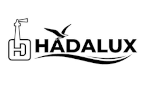 Nhãn hiệu   của CÔNG TY TNHH HADACO GROUP, số đơn 4-2026-22722