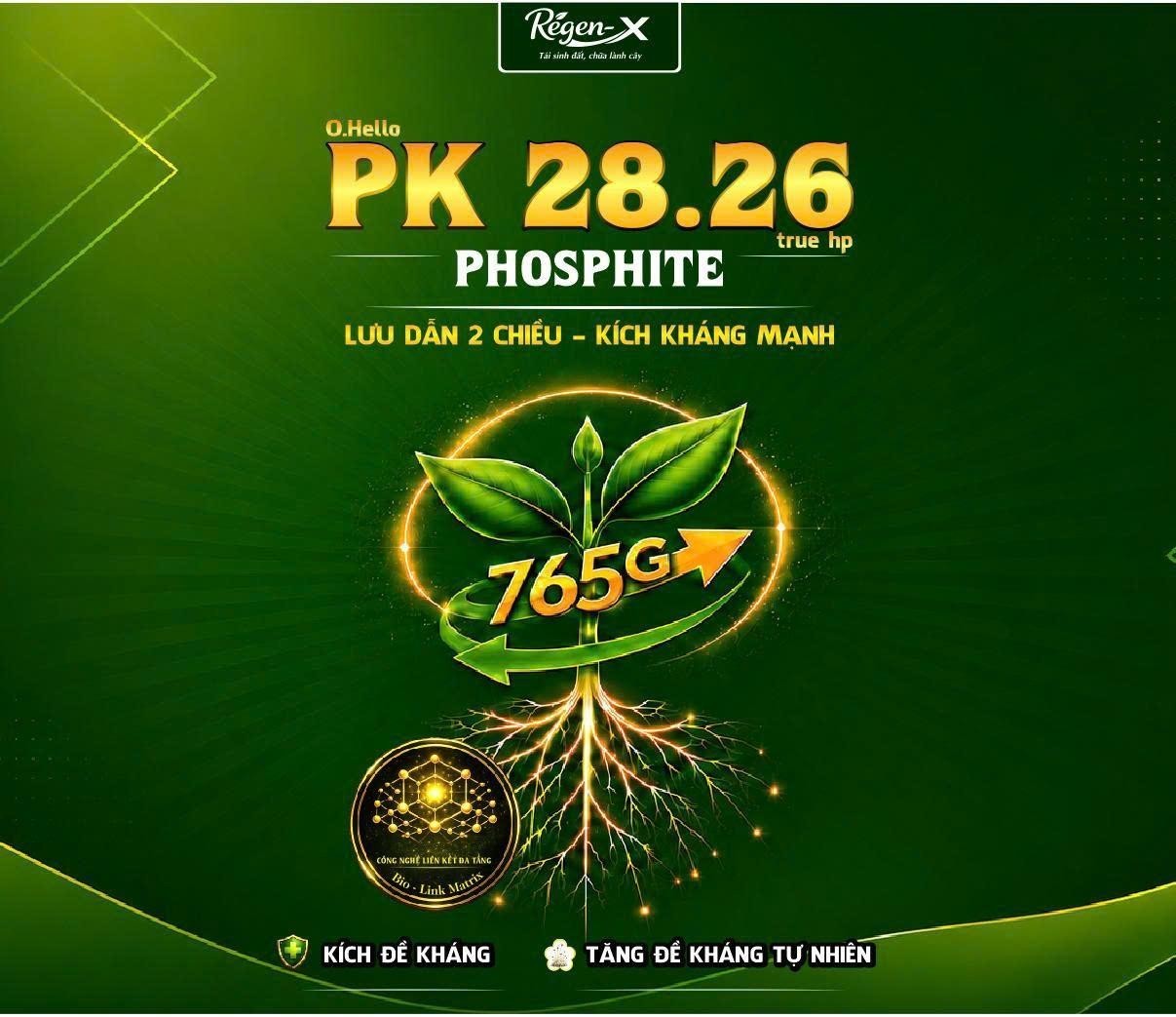Nhãn hiệu O.Hello PK 28.26, hình ảnh  của CÔNG TY TNHH MTV REGEN-X, số đơn 4-2026-22740