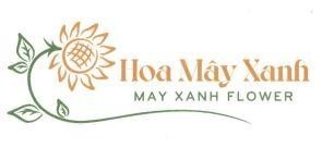 Hoa Mây Xanh MAY XANH FLOWER 